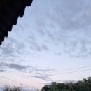 홍북농협주유소 이미지