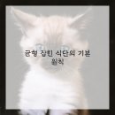 건강한 집밥 만들기 이미지