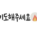 한주특송