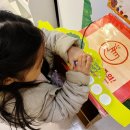 ABL생명 화장실 | [서울/합정] 브로드웨이 오리지널 아주아주 배고픈 애벌레쇼 뮤지컬 애릭칼 한국어 공연 후기