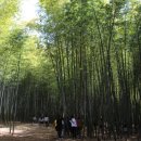 리틀-소프트볼구장 이미지