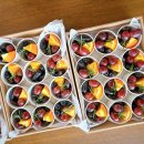 더비스킷스튜디오 | 현대자동차 기흥 마북캠퍼스ㅣ핑거푸드 케이터링박스 배송 후기