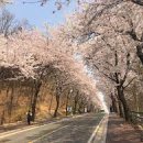 평택시외버스터미널 주변 이미지
