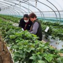 김동석농가 이미지