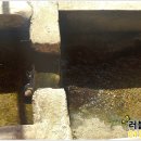 샘물세탁 이미지