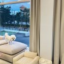 이브모텔 | 강릉애견동반숙소 펜션 호텔 풀빌라 강릉 퍼피 애견풀빌라