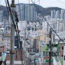 영산아파트경로당 | 부산 여행코스 추천 &#39;닥밭골벽화마을&#39; :: 색다른 골목투어를 원한다면..