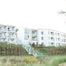 바람의언덕 리조트 펜션 이미지