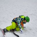 신기 합기도,태권도 이미지