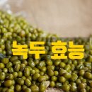 녹두