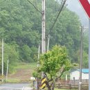 단양군단양읍노동보건진료소 | 마을 화단 가꾸기 2021. 5. 25