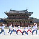 BOK 태권도 이미지