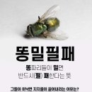 401009 이미지