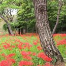 한양당구장 이미지