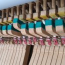 춘천세종관광호텔 이미지