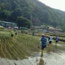 거산1리 이미지