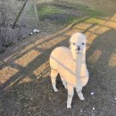 베르크농장 이미지