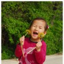 청아목장 이미지