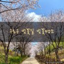 하늘숲초등학교 이미지