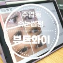 제이엔와이 | [주엽동속눈썹펌] 뷰트와이 2번째 펌도 성공!