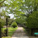 일출랜드식물원 이미지