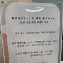 결혼 준비 / 드레스 투어는 공주 놀이가 아니다,, T들의 회의이다. (드투 후기, 누벨드블랑, 제시카로렌)