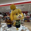 인형백화점 이미지