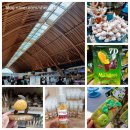 메트로 | 세부 공항 출국장 면세점 및 기념품샵 이용후기 &amp; 메트로 슈퍼마켓 쇼핑 후기