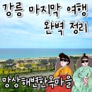 (주)더파크모터스강릉서비스 | 강릉여행 마지막 날 완벽정리! 솔바람다리 × 동화가든 × 동해휴게소 코스 추천 🌊