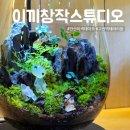 고잔역 1번출구 | 안산 이끼창작스튜디오 테라리움 원데이클래스 후기