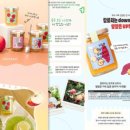 꽃다지 앞 | [창업 도전] 꽃다지의 상세페이지 제작기 (2)