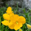 공암나루근린공원 이미지