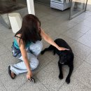 라니하우스 | 강원도 속초 고성 카페 글라스하우스 애견동반 가능