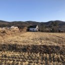 내가면-1 이미지