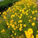 2025년 6월9일 월요일 출석부 (나의 인생같은 노래) 이미지