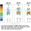 회사 내 기숙사에서 쓸 매트리스? 이미지