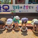 꽃바위유치원 이미지