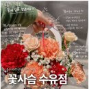 꽃사슴 | 수유 꽃집 어버이날 카네이션 선물 내돈내산 솔직 후기 꽃사슴 수유점
