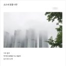 디카시쓰기 | 리호 시인의 디카시 연수 후기 ver.2