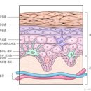 제이앤제이코스메틱 - 칠곡군 안산2길 37-2 | 제이앤제이코스메틱