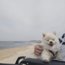 동해를그리다 이미지
