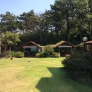 나운리조트숲속동 이미지