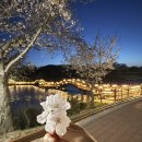 힐튼호텔 경주 | [숙소] 경주 숙소추천,“힐튼호텔경주”조식 후기(트럼프버거)