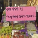 델리로티 | 지렁이 구출 대작전