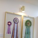 그루밍샵 이미지