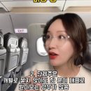 한국인 비행기 승객 특징 3 이미지
