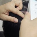 숲칼프교육전문센터원주점