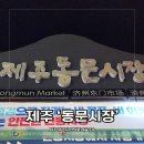 중앙로13길 | 제주 먹거리 총집합! 눈도 입도 즐거운 제주 &#39;동문시장&#39;과 야시장 다녀온 후기