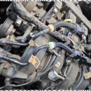 고덕 에스카모터스 이미지