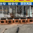 솔리(구 서일농원) 이미지